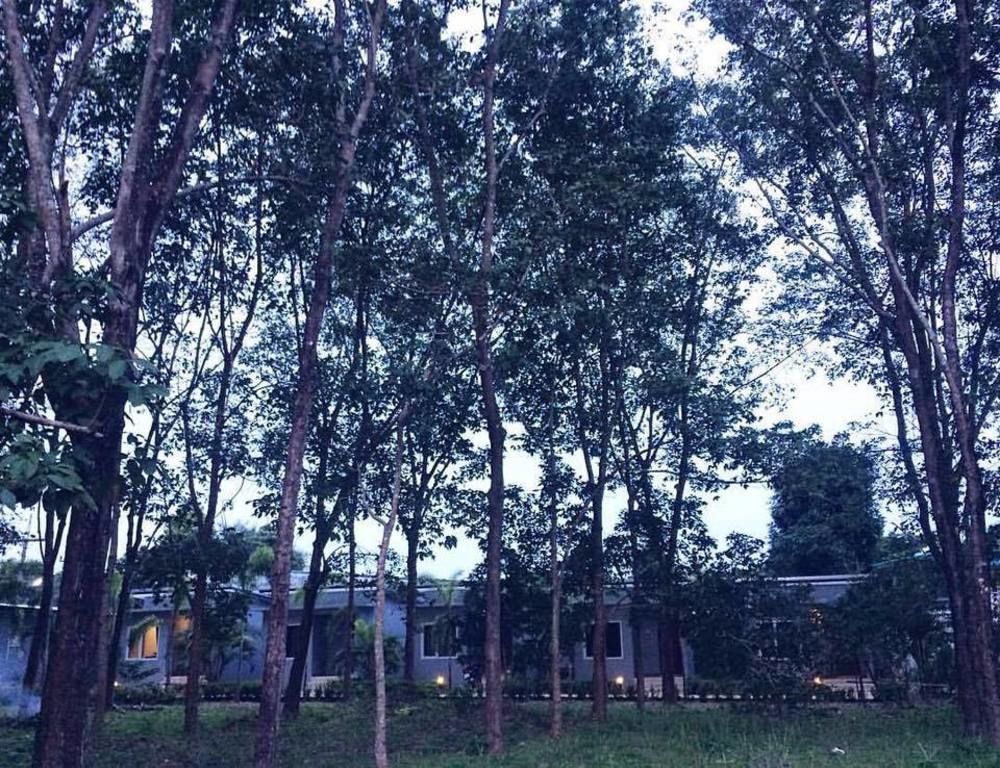 Saiyuan Garden Resort Rawai Eksteriør billede